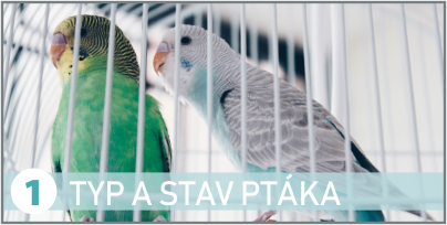 typ a stav ptáka